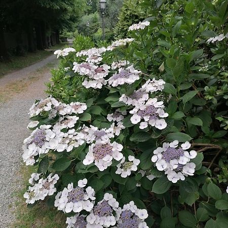 Lavanda Appartamento Vigliano Biellese 外观 照片